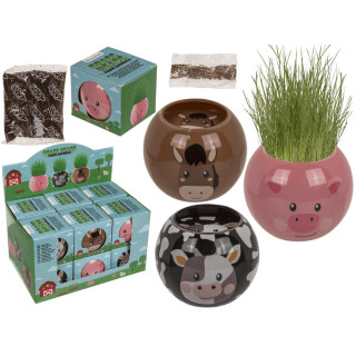 Grow-a-head – Zwierzęta hodowlane