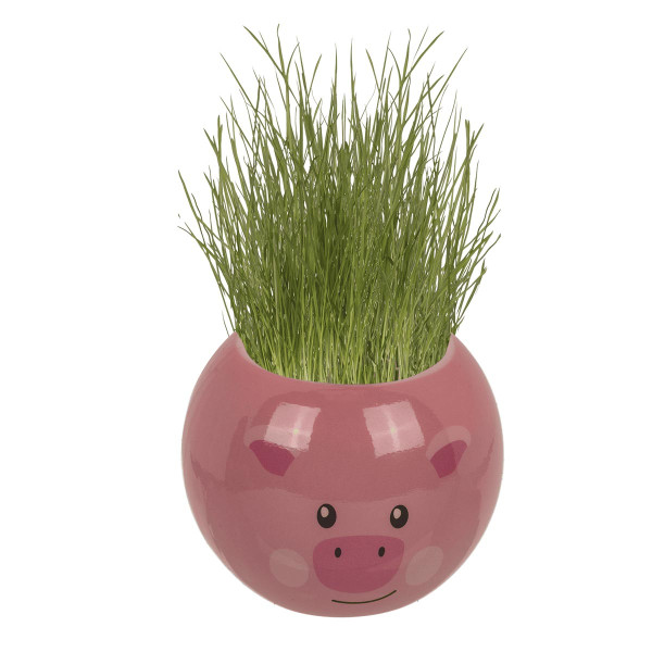 Grow-a-head – Zwierzęta hodowlane