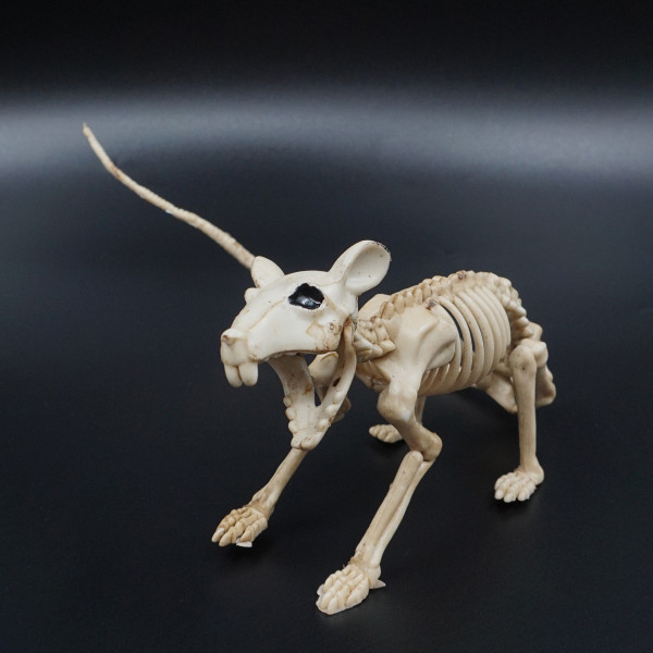 Halloweenowa figurka "Szkielet szczura"