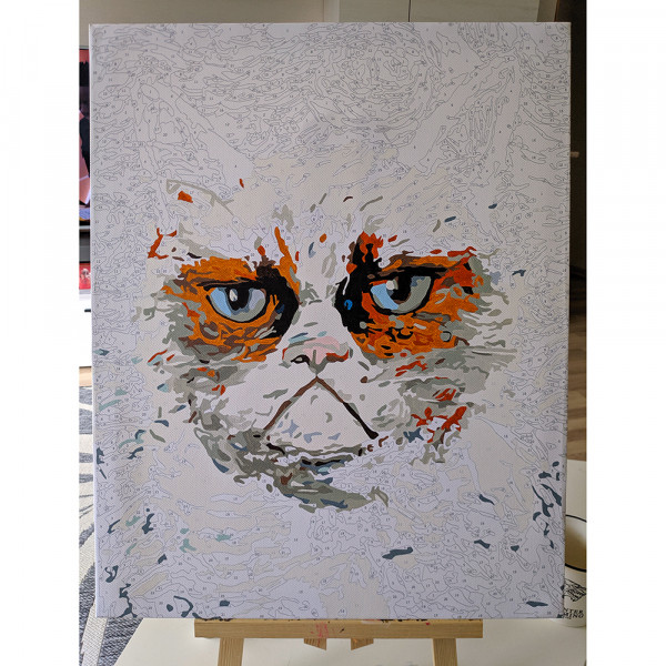 Malowanie po numerach "Angry cat" (40x50cm)