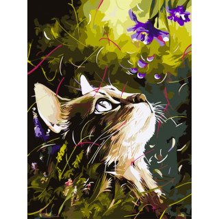 Malowanie po numerach "Kot marzyciel" (30x40cm)