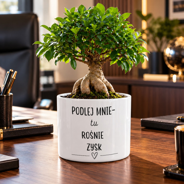 Ceramiczna doniczka "Podlej mnie – tu rośnie zysk"
